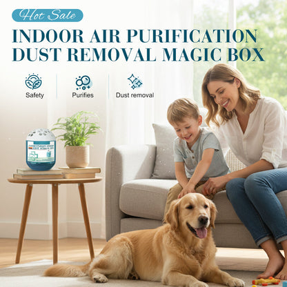 🏆Indoor Luftreinigung Staub Entfernung Magic Box🌿✨-Remifa®